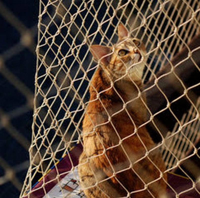 Rede de Proteção para Gatos São Raimundo das Mangabeiras - Rede de Proteção