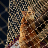 rede de proteção para gatos São Raimundo das Mangabeiras